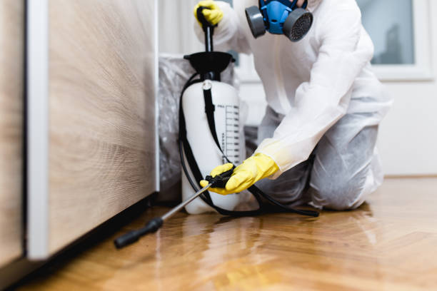 Best Pest Removal Services  in Neffs, OH