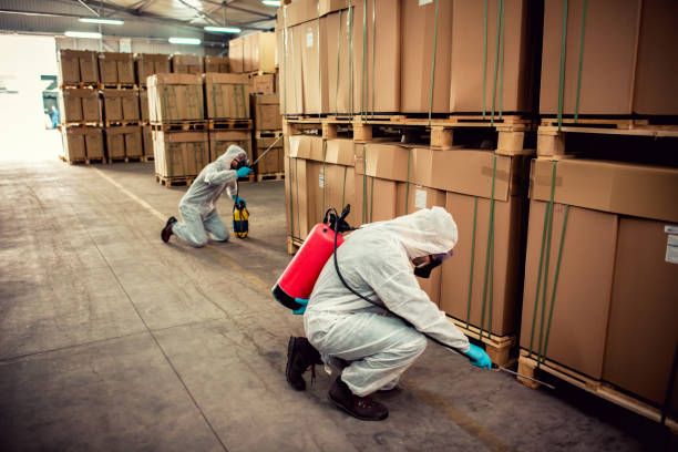 Trusted Neffs, OH Pest Control Experts