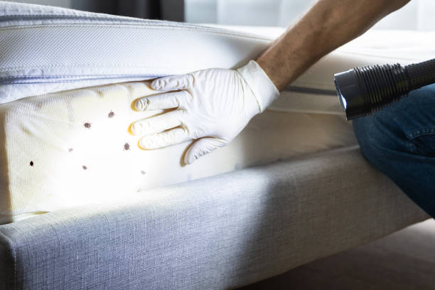Best Commercial Pest Control Services  in Neffs, OH