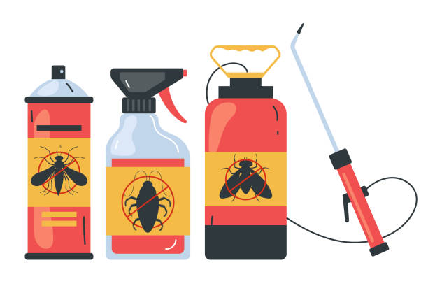 Best Termite Control Services  in Neffs, OH