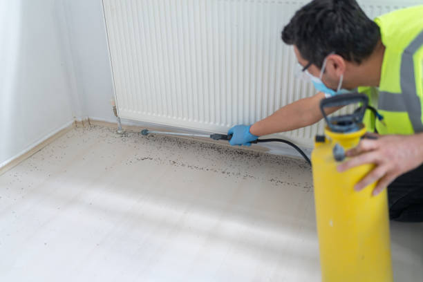 Best Mosquito Control Services  in Neffs, OH